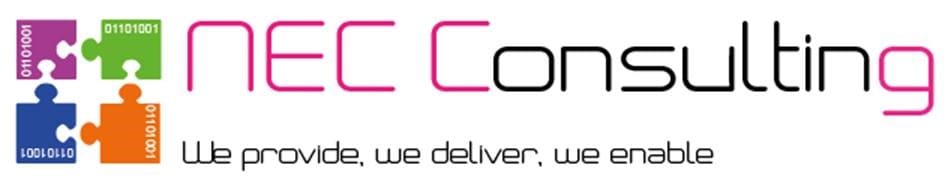 NEC CONSULTING